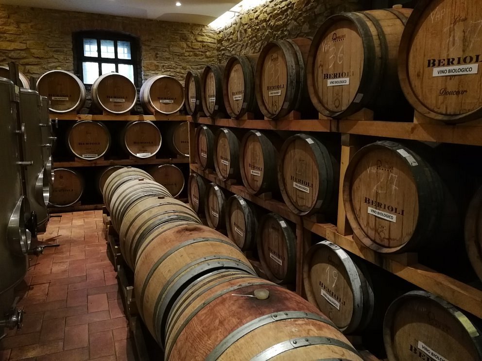 Wine tasting at Lake Trasimeno