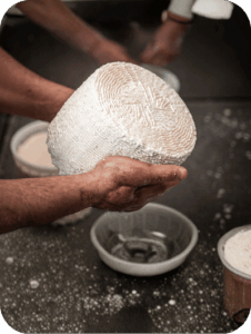 Pecorino Cheese Tasting