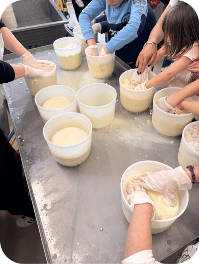 Hands on cheese