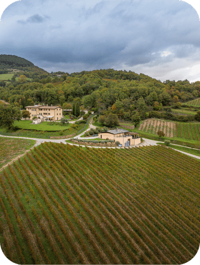 Cellar secret wine tasting experience